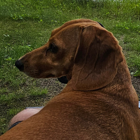 Meet your Posher, Matt - Picture 1 of 1